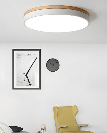 Skanto | Modern Pendant Light with Nature-Inspired Form