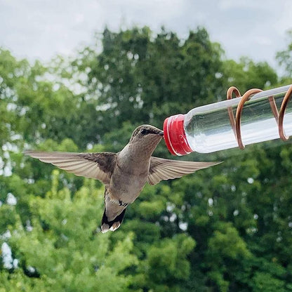 BowLift | Window Nectar - See the birds up close - Wonder guaranteed