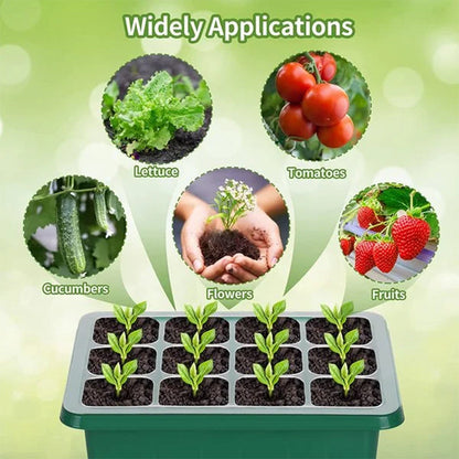 Seed Starter Trays with Grow Light, 5 sets | Bowlift