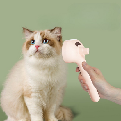 Premium pet brush with steam function Bowlift