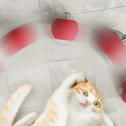 Skanto | Smart Rolling Pet Toy Ball