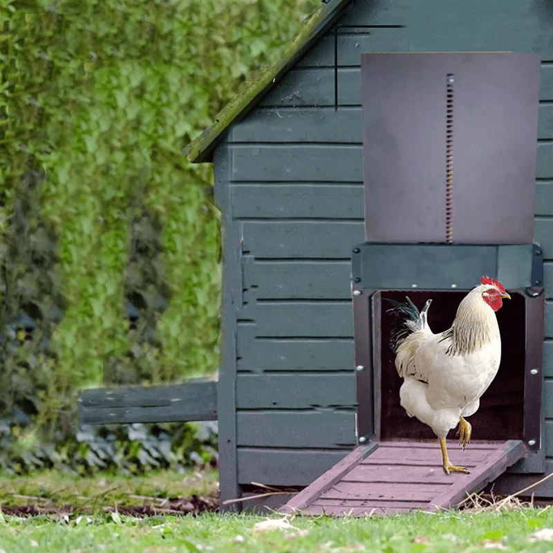 Skanto | Automatic Chicken Coop Door