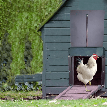Skanto | Automatic Chicken Coop Door