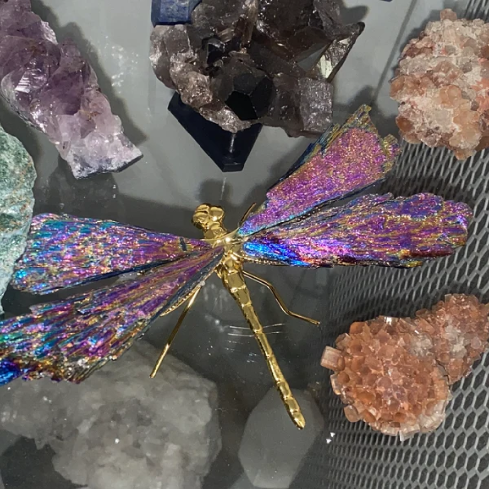 Skanto | Aurora Dragonfly Charm