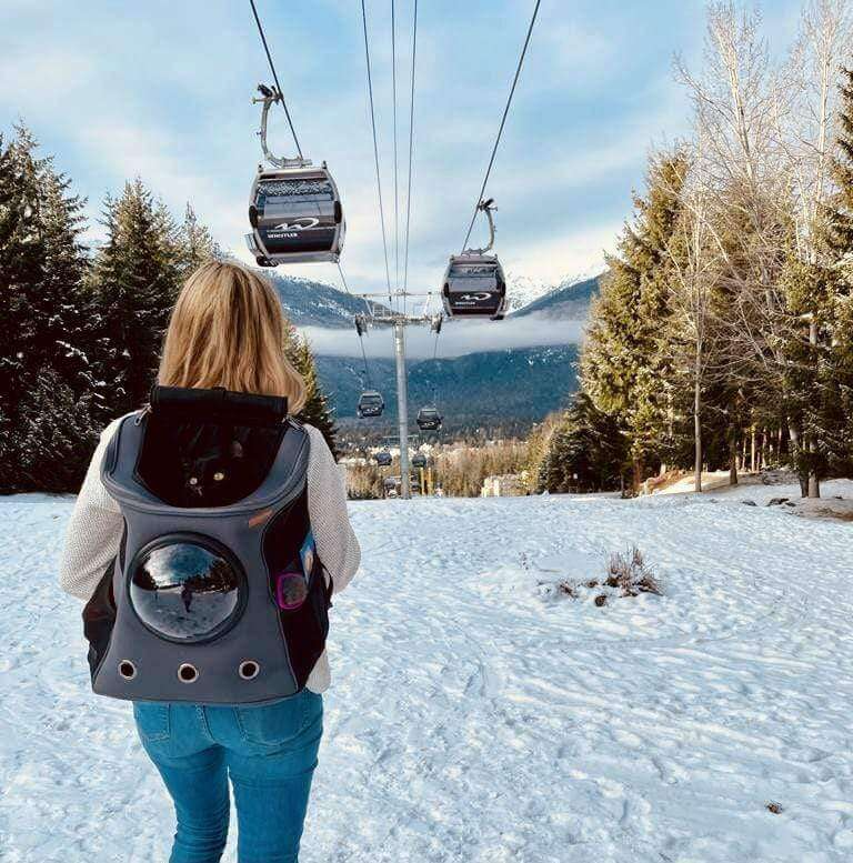 BowLift | Spacious View Cat Backpack – Comfortable Pet Carrier with Bubble Window