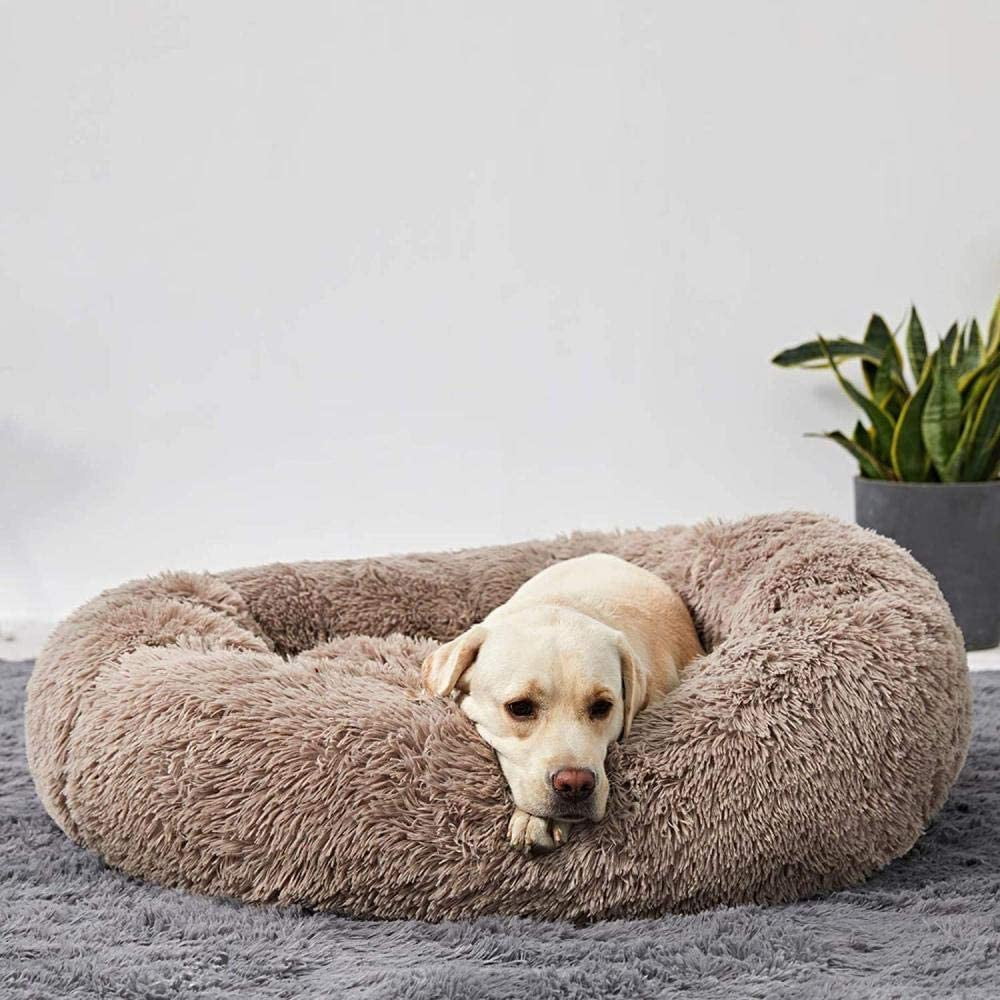 Skanto | Calming Dog Bed