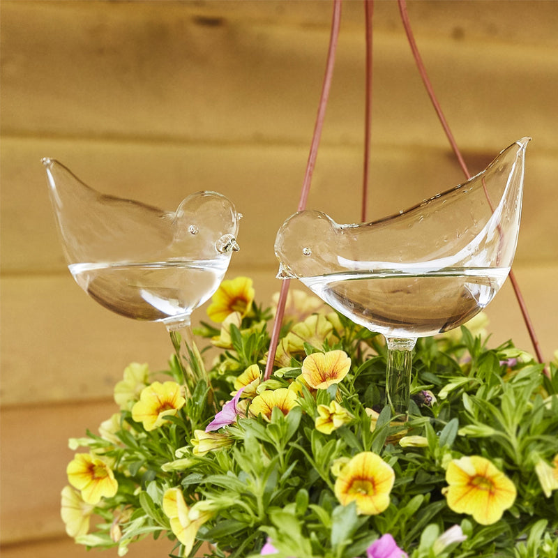 Self-watering glass birds