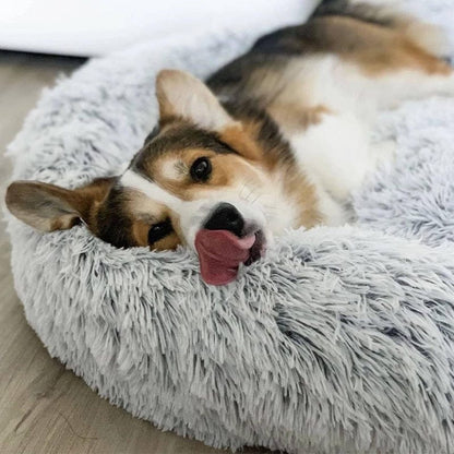 Skanto | Fluffy Calming Pet Bed for Dogs and Cats