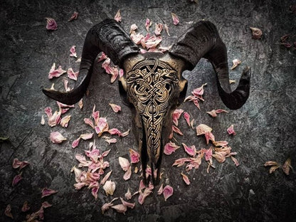 BowLift | Carved Ram Skull