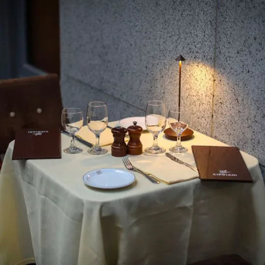 Skanto | Spikelight™ - Waterproof & Dimmable Wired Lighting