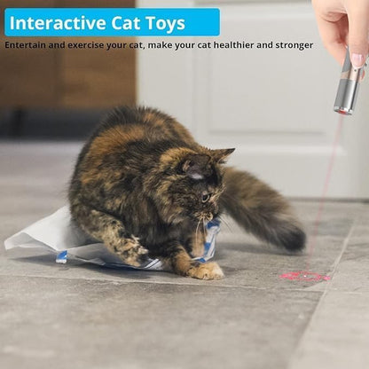 Skanto | Rechargeable Stainless Steel Laser Cat Toy