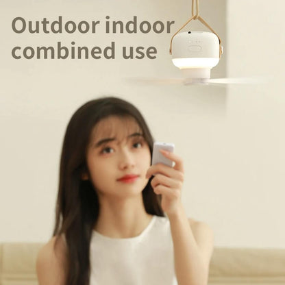 Airholm Hanging Fan with LED Light | Karnz