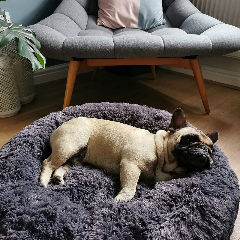 Brehn | Round Plush Calming Donut Dog Bed for Small to Large Dogs