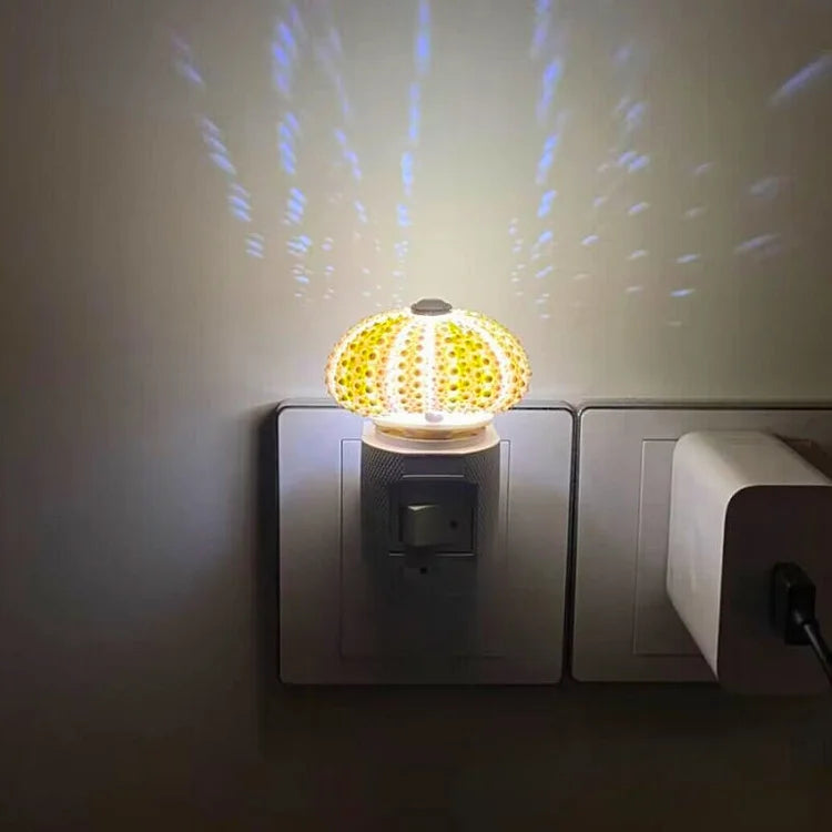 LumiCraft – Unique DIY table lamp with natural shell for a cozy ambiance