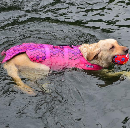 Skanto | Like a Fish Dog Life Vest