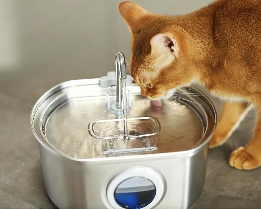 Extremely quiet stainless steel pet drinking fountain with triple filter system – 108.2 oz capacity for cats and dogs