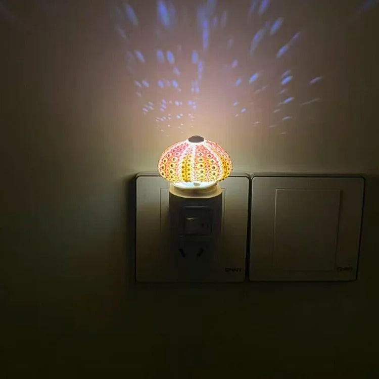 LumiCraft – Unique DIY table lamp with natural shell for a cozy ambiance