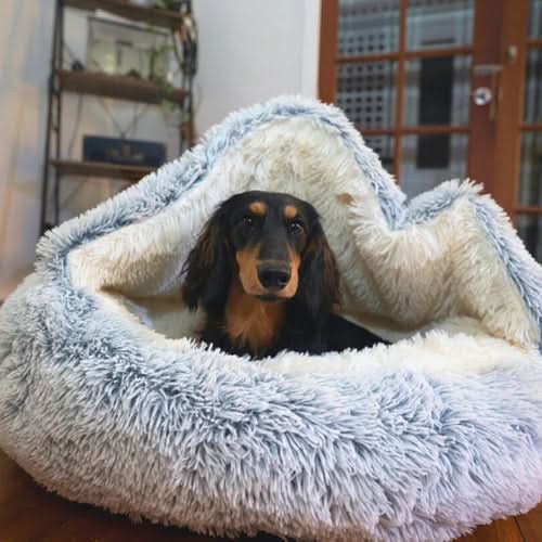 Skanto | COZYRO
