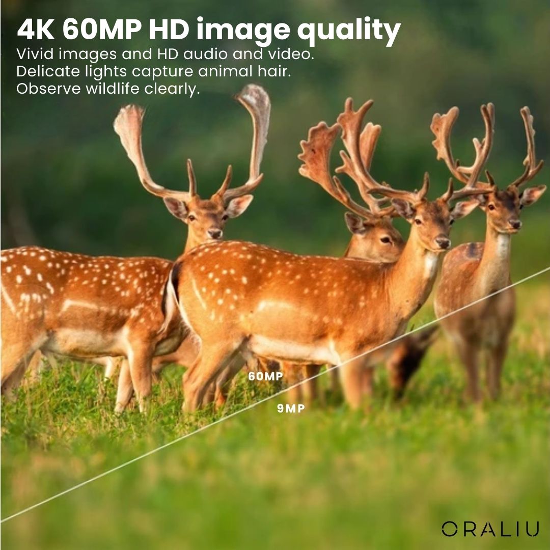 Skanto | 4K Ultra HD Trail Camera – 60MP with App Control