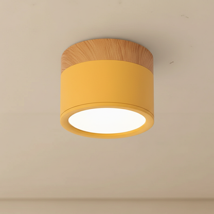 Aluminum LED Flush Mount Ceiling Light