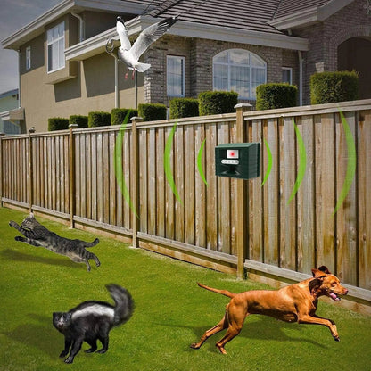 Skanto | Ultrasonic Woodpecker Repeller – Effective and Humane Bird Deterrent for Gardens and Homes