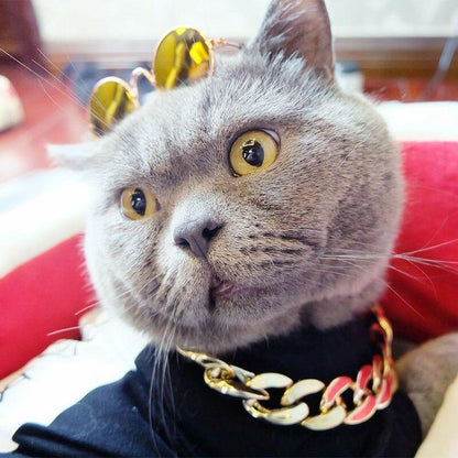 Pet Jewelry Thick Gold Chain Collar