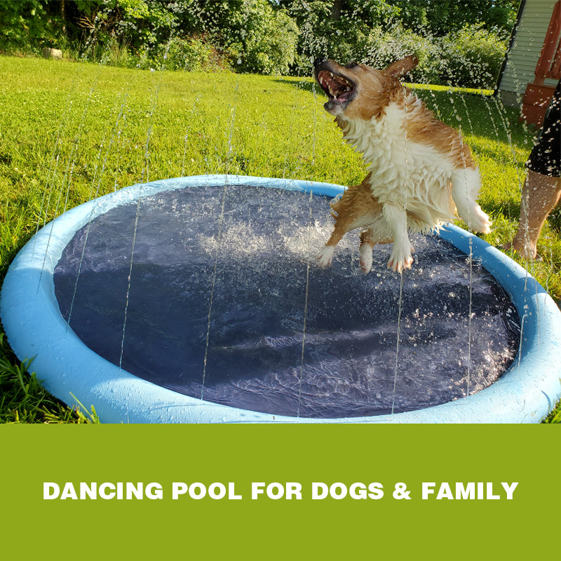 Brehn | Dog Sprinkler Pool 59''x59''