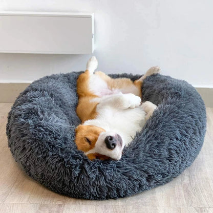Premium Dog Bed Bowlift