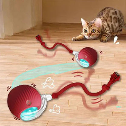 Skanto | Smart Rolling Pet Toy Ball