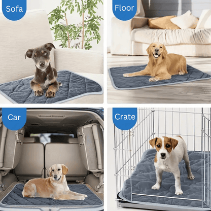 ToastyPaws Dog Self-Heating Pad