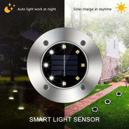 Solar Ground Lights – LED Path Lights for the Garden | Karnz