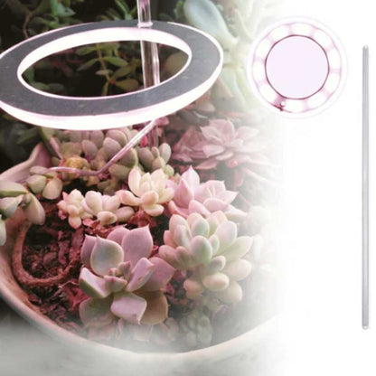 Skanto | Grow Light for Indoor Plants