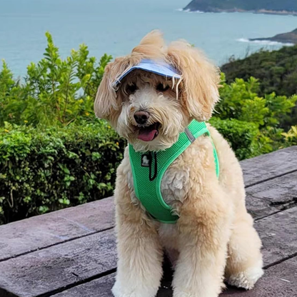BowLift | Outdoor Sun Protection Hood for Dogs