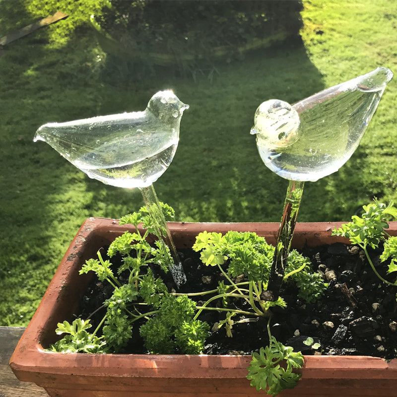 Self-watering glass birds