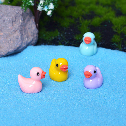 🦆Tiny Ducks | Challenge Hiding Ducks | Norvo