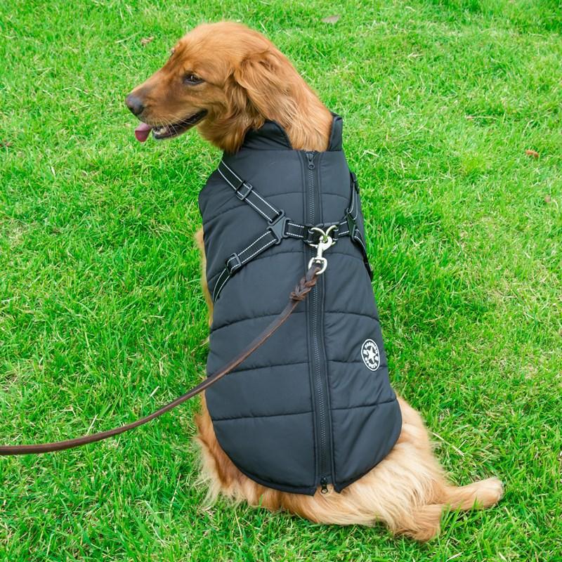 Skanto | Winter Zipper Coat for Dogs