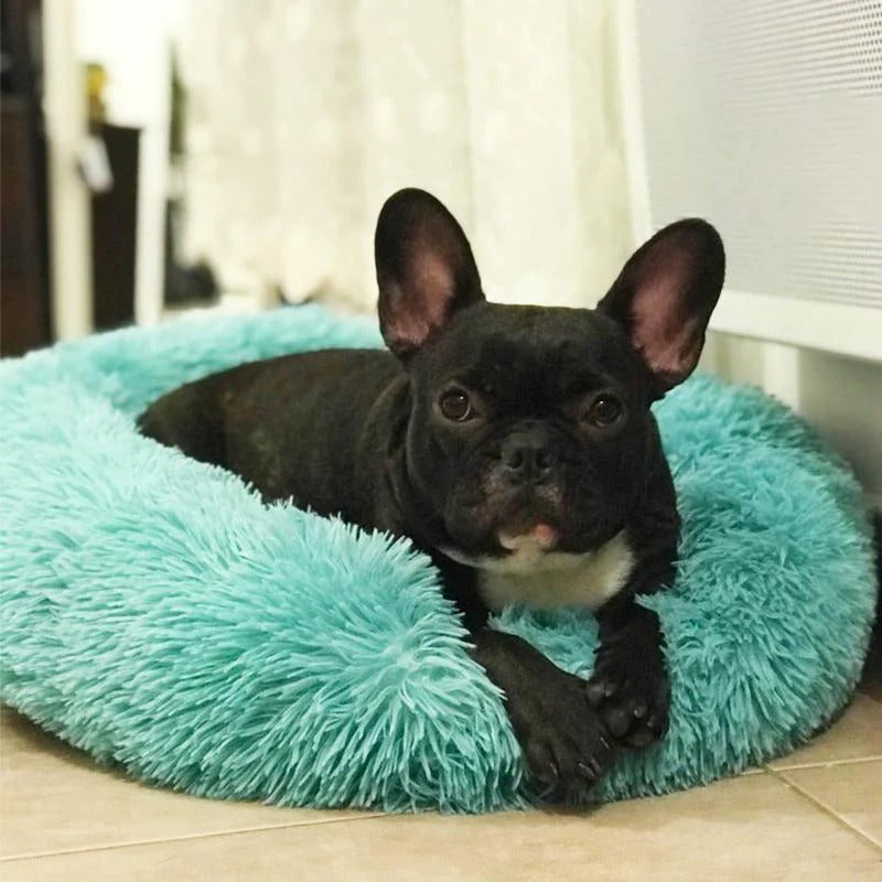 Skanto | Long Plush Donut Pet Bed with Washable Cover and Non-Slip Bottom