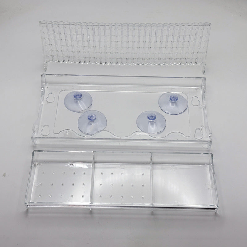 Skanto | Outdoor Clear-Window-Suction-Cup-Bird Feeder