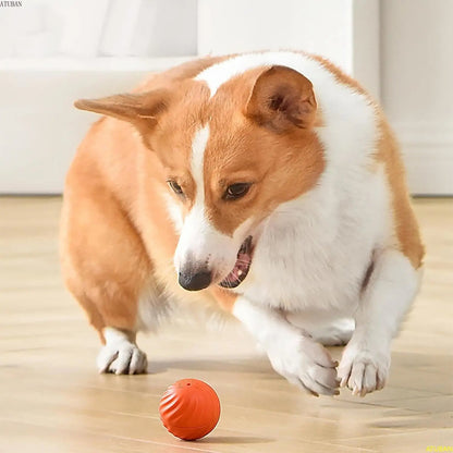 Skanto | Interactive Rechargeable Bouncing Ball Toy for Dogs