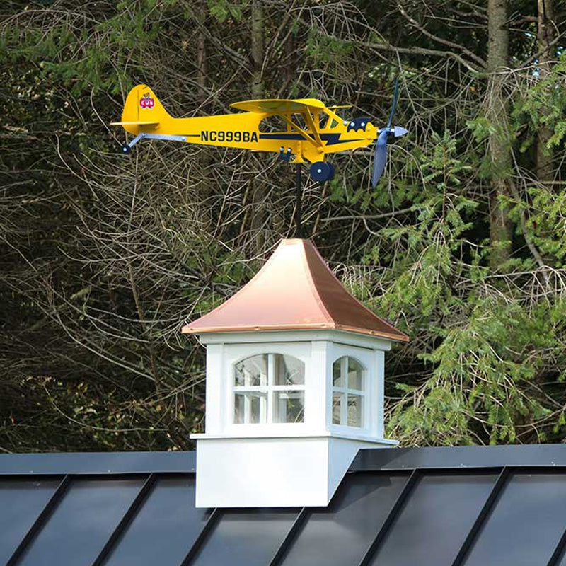 Brehn | Airplane Weathervane