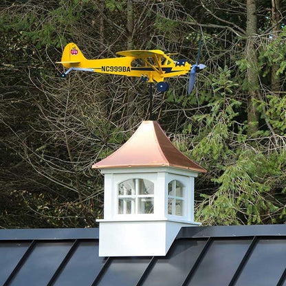 Brehn | Airplane Weathervane