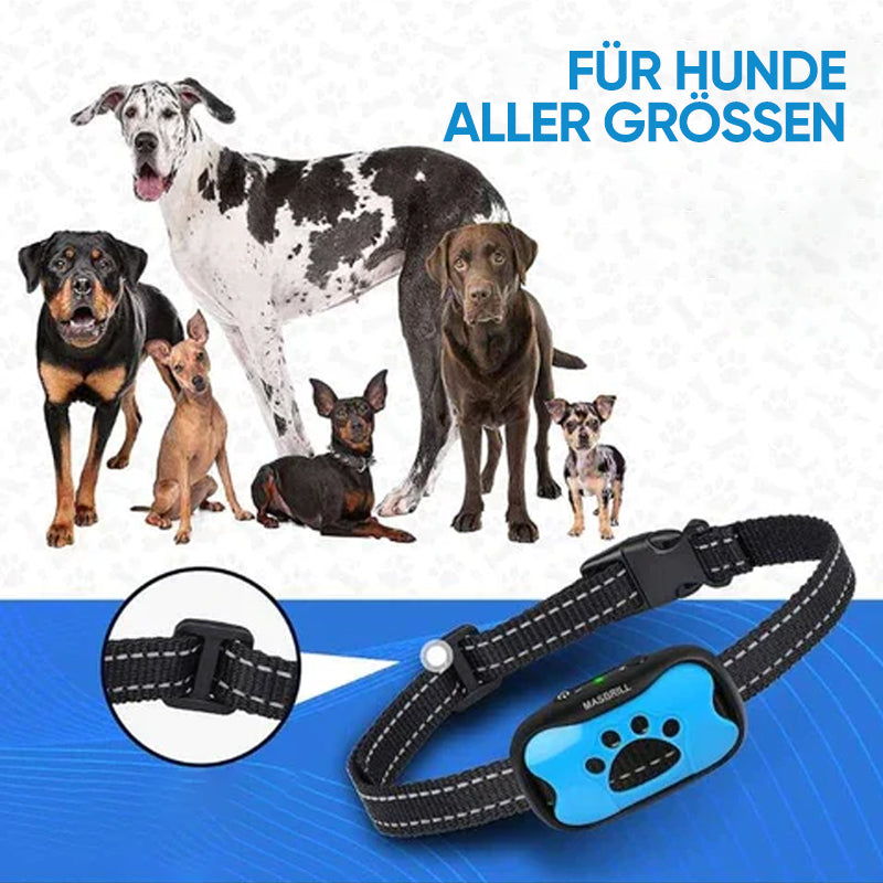 Rechargeable, waterproof dog trainer
