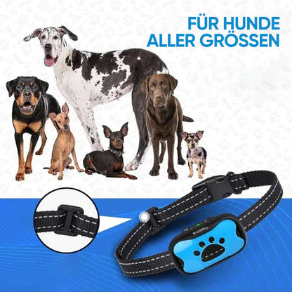 Rechargeable, waterproof dog trainer