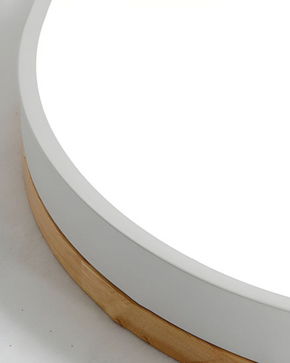 Skanto | Modern Pendant Light with Nature-Inspired Form