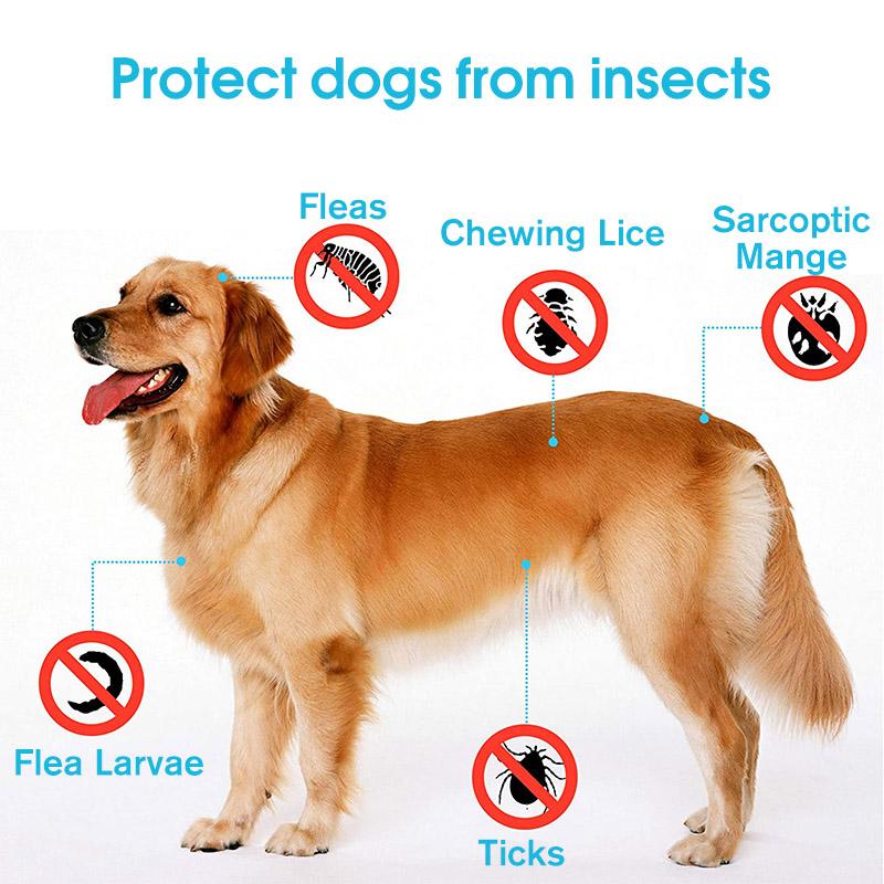 Skanto | Adjustable Pet Insect Repellent Collar