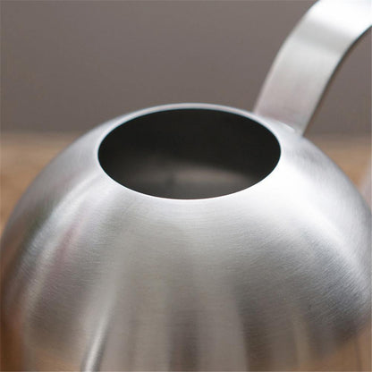 Skanto | Stainless Steel Watering Can with Flexible Neck | Modern Design | Perfect Watering | Won't Rust