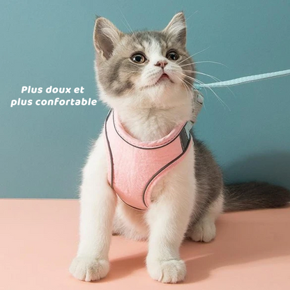 Harness and Leash Set for Cat | Skanto