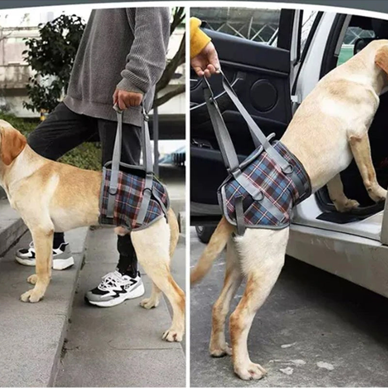 Orthopedic Rear Leg Harness