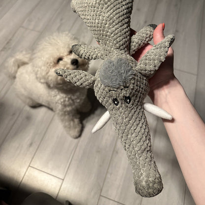 Extra strong dog toy - Maximus