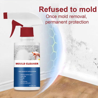 Skanto | Mold Remover Foam